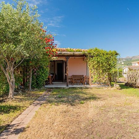 Appartamento Trilocale Le Canne 4 Posti Letto Con Giardino E Posto Auto Privato San Teodoro  Exteriör bild