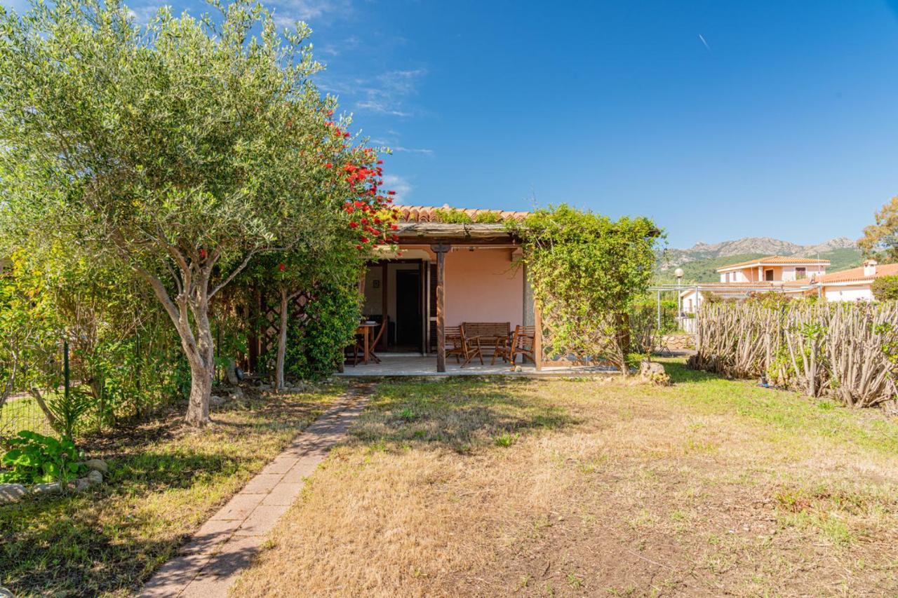 Appartamento Trilocale Le Canne 4 Posti Letto Con Giardino E Posto Auto Privato San Teodoro  Exteriör bild